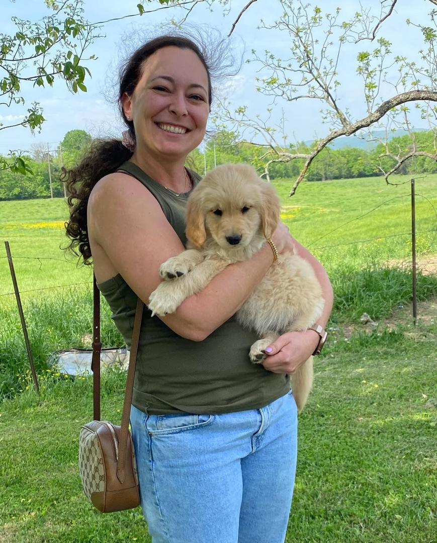 Golden retriever hiking with family