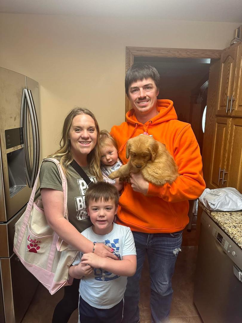 Golden retriever puppy with toddler